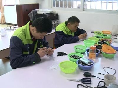 振奮人心 | 東興區殘疾人就業創業正當時！